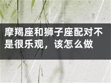 摩羯座和狮子座配对不是很乐观，该怎么做 