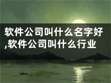 软件公司叫什么名字好,软件公司叫什么行业