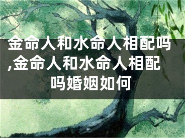 金命人和水命人相配吗,金命人和水命人相配吗婚姻如何