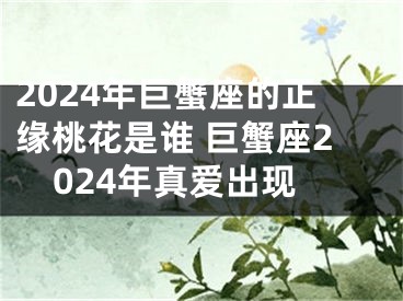 2024年巨蟹座的正缘桃花是谁 巨蟹座2024年真爱出现