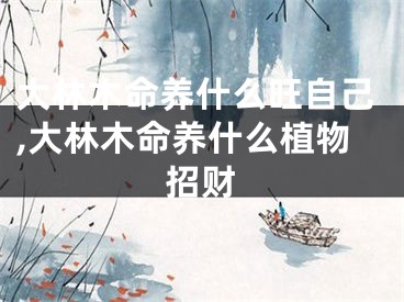 大林木命养什么旺自己,大林木命养什么植物招财