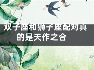 双子座和狮子座配对真的是天作之合 