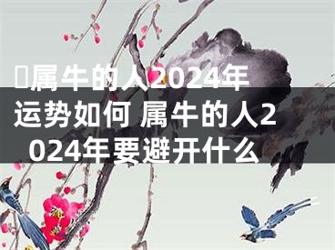 ​属牛的人2024年运势如何 属牛的人2024年要避开什么