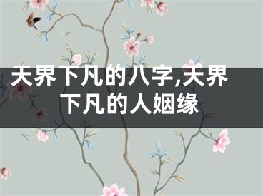 天界下凡的八字,天界下凡的人姻缘
