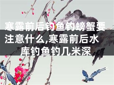 寒露前后钓鱼钓螃蟹要注意什么,寒露前后水库钓鱼钓几米深