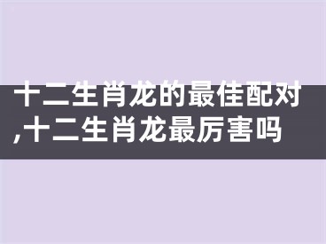十二生肖龙的最佳配对,十二生肖龙最厉害吗