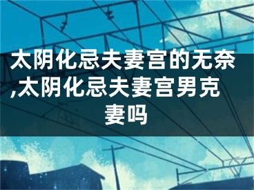 太阴化忌夫妻宫的无奈,太阴化忌夫妻宫男克妻吗