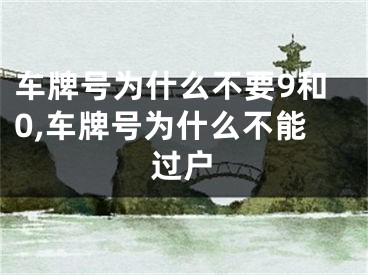 车牌号为什么不要9和0,车牌号为什么不能过户