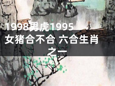 1998男虎1995女猪合不合 六合生肖之一