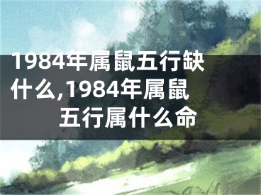 1984年属鼠五行缺什么,1984年属鼠五行属什么命