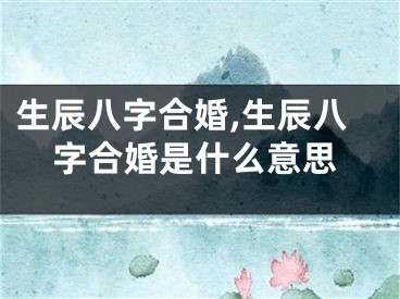 生辰八字合婚,生辰八字合婚是什么意思