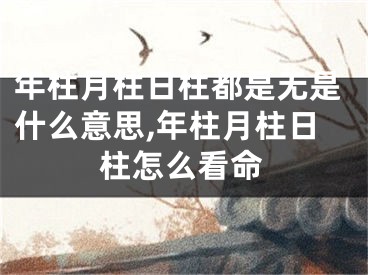年柱月柱日柱都是无是什么意思,年柱月柱日柱怎么看命