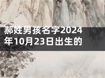郝姓男孩名字2024年10月23日出生的
