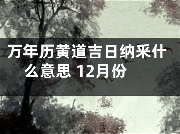 万年历黄道吉日纳釆什么意思 12月份