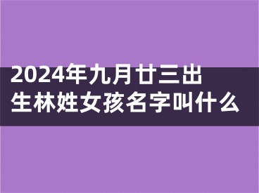 2024年九月廿三出生林姓女孩名字叫什么