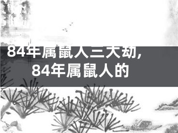 84年属鼠人三大劫,84年属鼠人的