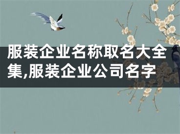 服装企业名称取名大全集,服装企业公司名字