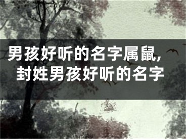 男孩好听的名字属鼠,封姓男孩好听的名字