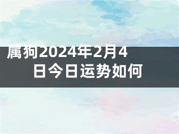 属狗2024年2月4日今日运势如何