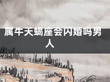 属牛天蝎座会闪婚吗男人 