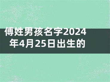 傅姓男孩名字2024年4月25日出生的