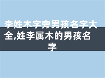 李姓木字旁男孩名字大全,姓李属木的男孩名字