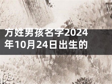 方姓男孩名字2024年10月24日出生的