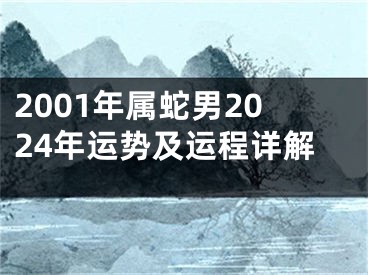 2001年属蛇男2024年运势及运程详解