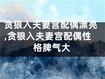 贪狼入夫妻宫配偶漂亮,贪狼入夫妻宫配偶性格脾气大