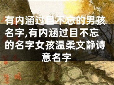 有内涵过目不忘的男孩名字,有内涵过目不忘的名字女孩温柔文静诗意名字