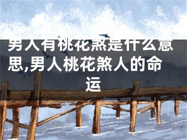 男人有桃花煞是什么意思,男人桃花煞人的命运