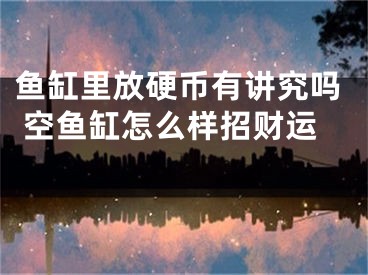 鱼缸里放硬币有讲究吗 空鱼缸怎么样招财运 