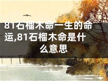 81石榴木命一生的命运,81石榴木命是什么意思