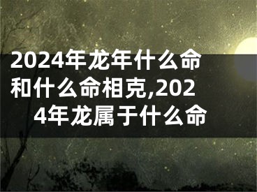 2024年龙年什么命和什么命相克,2024年龙属于什么命