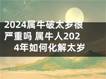 2024属牛破太岁很严重吗 属牛人2024年如何化解太岁