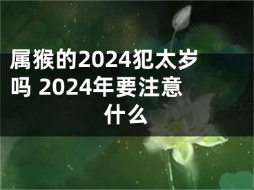 属猴的2024犯太岁吗 2024年要注意什么