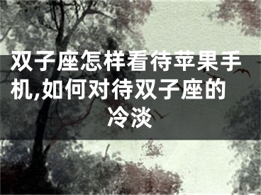 双子座怎样看待苹果手机,如何对待双子座的冷淡