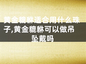 黄金貔貅适合用什么珠子,黄金貔貅可以做吊坠戴吗