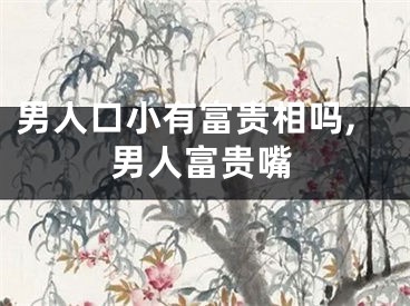 男人口小有富贵相吗,男人富贵嘴