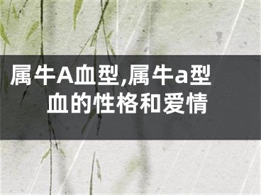 属牛A血型,属牛a型血的性格和爱情