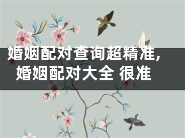 婚姻配对查询超精准,婚姻配对大全 很准