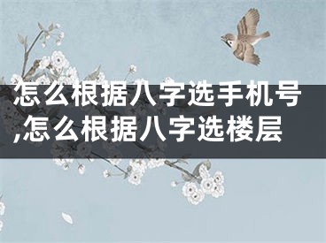 怎么根据八字选手机号,怎么根据八字选楼层