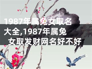 1987年属兔女取名大全,1987年属兔女取发财网名好不好