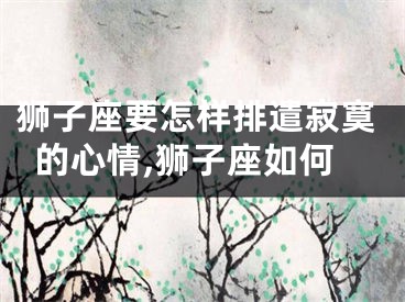 狮子座要怎样排遣寂寞的心情,狮子座如何