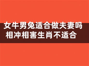 女牛男兔适合做夫妻吗 相冲相害生肖不适合