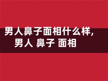 男人鼻子面相什么样,男人 鼻子 面相