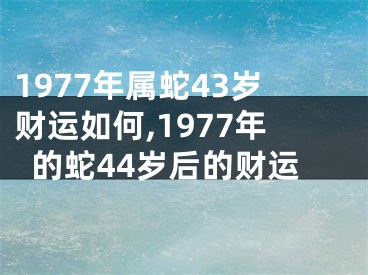 1977年属蛇43岁财运如何,1977年的蛇44岁后的财运