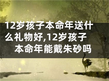 12岁孩子本命年送什么礼物好,12岁孩子本命年能戴朱砂吗