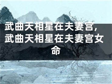 武曲天相星在夫妻宫,武曲天相星在夫妻宫女命