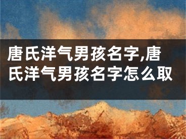 唐氏洋气男孩名字,唐氏洋气男孩名字怎么取